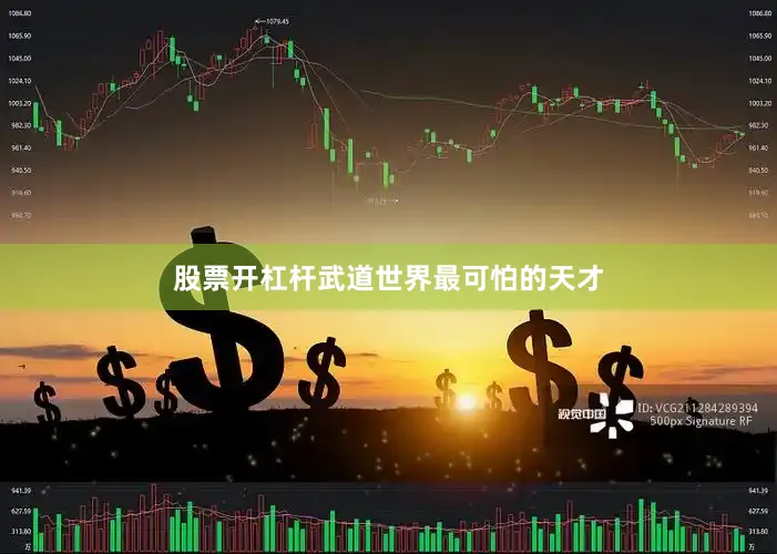 股票开杠杆武道世界最可怕的天才
