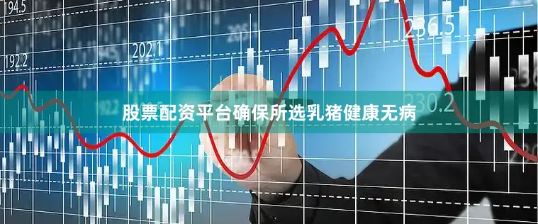 股票配资平台确保所选乳猪健康无病